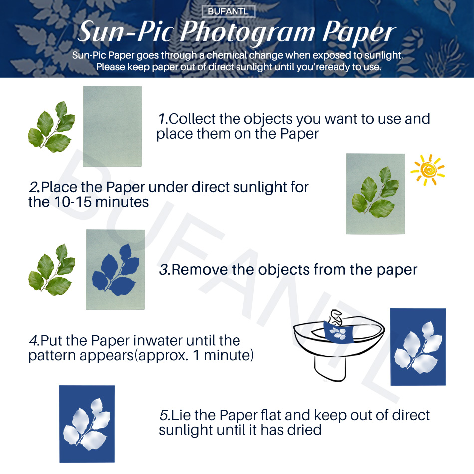 Cyanotype Paper 12 Sheets Refi - đánh giá và giá Photography Lighting For Beginners