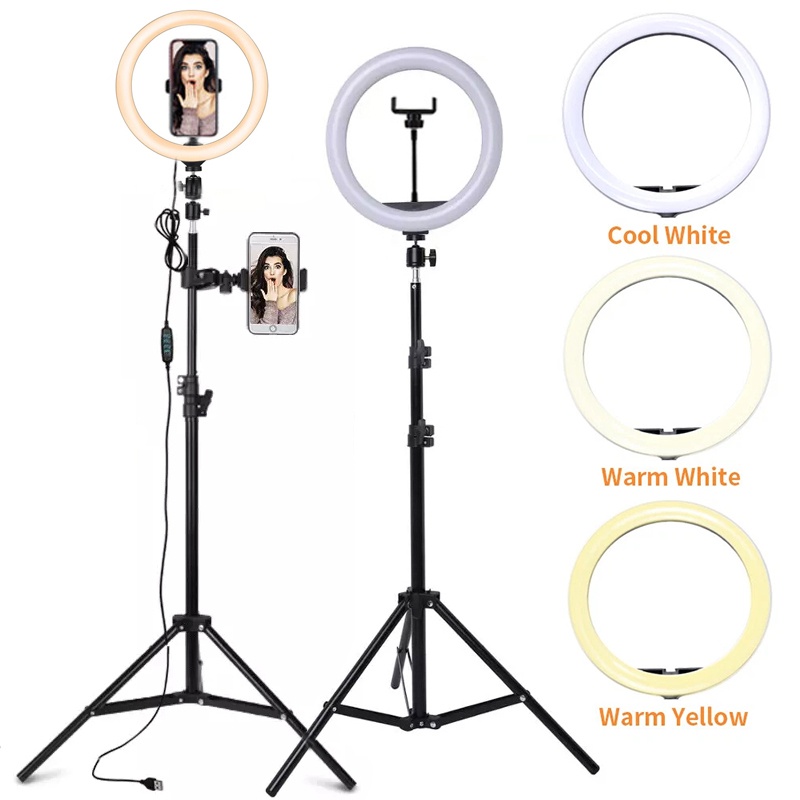 6/10/12 Inch LED Selfie Ring L - đánh giá và giá Photography Lighting Stick