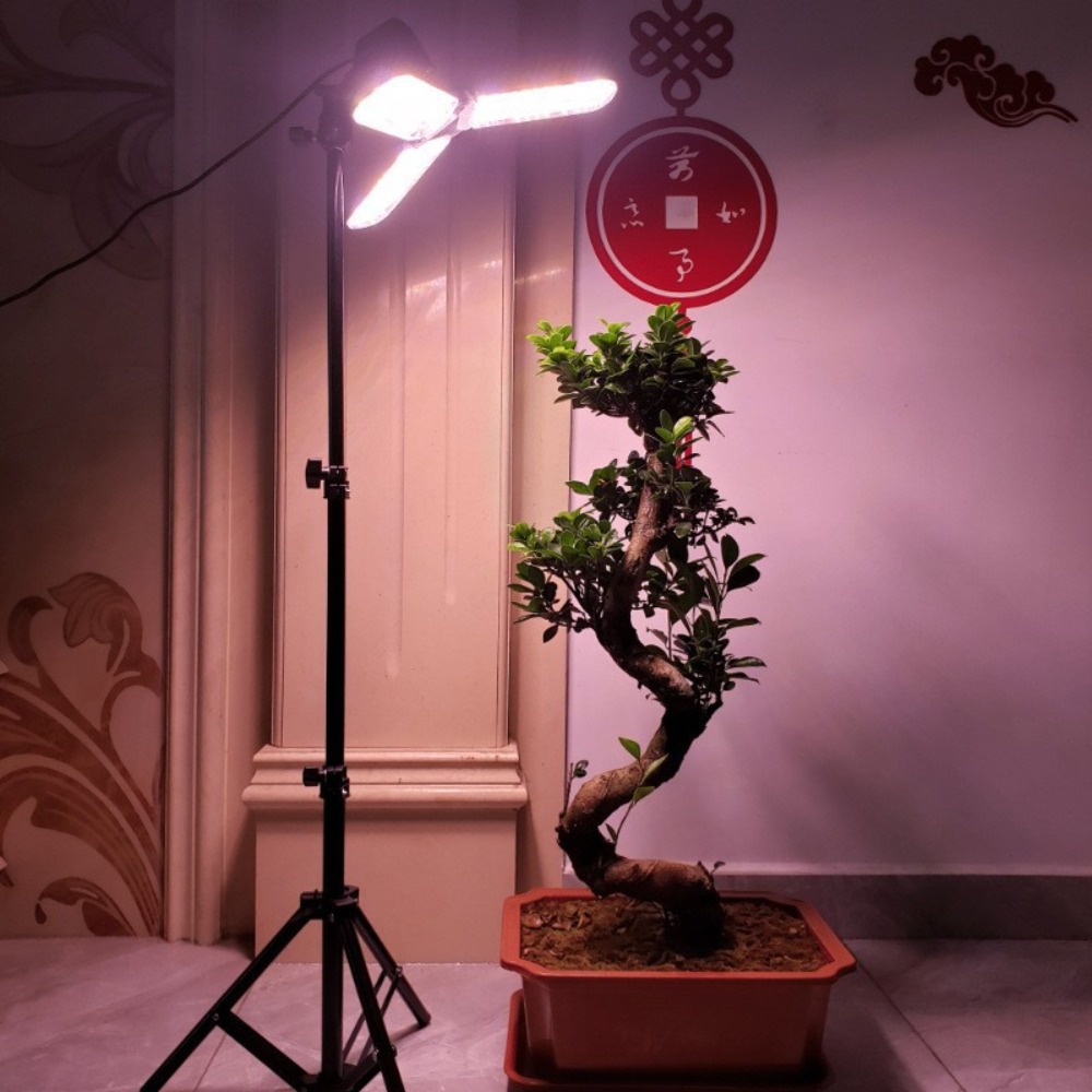 Light Bulb Stand 2M, E27 AC So - đánh giá và giá Stand Lighting Photography