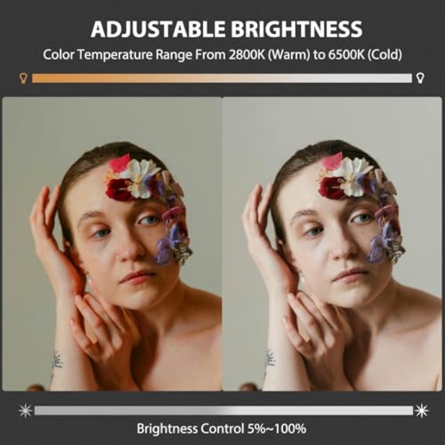 60W COB LED Video Light Handhe - đánh giá và giá Photography Lighting Spotlight